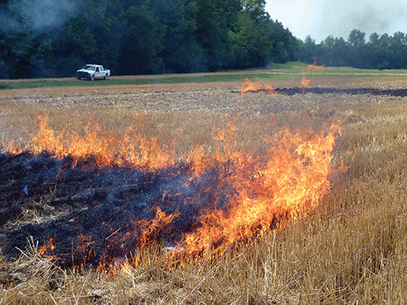 Picture of field burning.